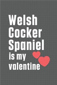 Welsh Cocker Spaniel is my valentine