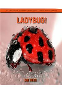 Ladybug! An Educational Children's Book about Ladybug with Fun Facts