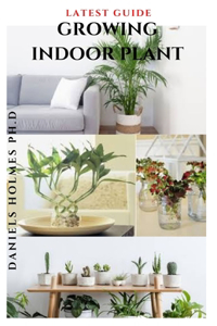 Latest Guide Growing Indoor Plant