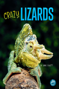 Crazy Lizards