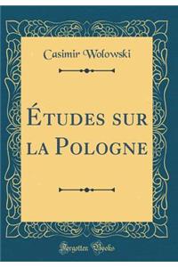 ï¿½tudes Sur La Pologne (Classic Reprint)