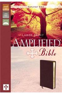 Amplified Bible