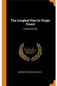 The Longleaf Pine In Virgin Forest
