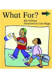 What For? South African edition