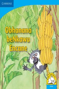 Obhanana beNkawu Encane (IsiZulu)