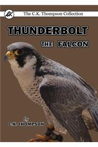 Thunderbolt the Falcon