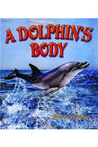 Dolphins Body