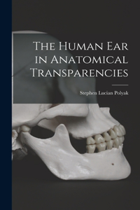 Human Ear in Anatomical Transparencies