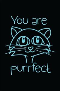 You are Purrfect