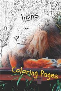 Lions Coloring Pages