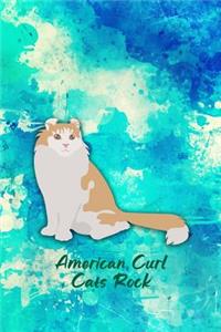 American Curl Cats Rock