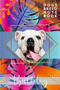 Bulldog