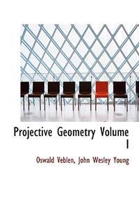 Projective Geometry Volume I