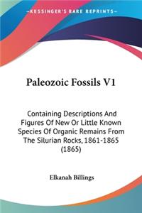 Paleozoic Fossils V1