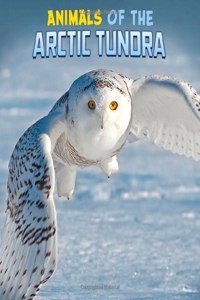 Animals of the Arctic Tundra