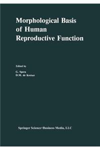 Morphological Basis of Human Reproductive Function