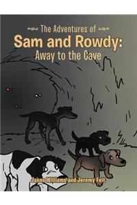 The Adventures of Sam and Rowdy