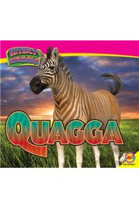 Quagga