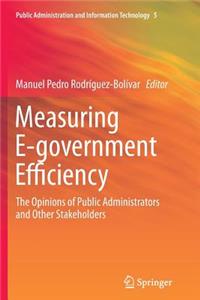 Measuring E-Government Efficiency