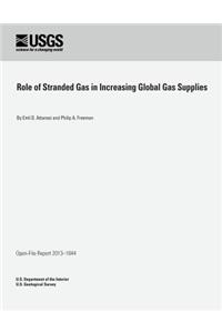 Role of Stranded Gas in Increasing Global Gas Supplies