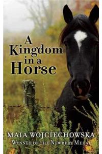 A Kingdom in a Horse