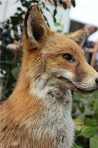 MindBlowing Cut Animal Fox Journal 11