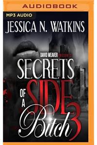 Secrets of a Side Bitch 3