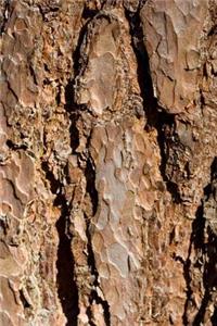 Bark