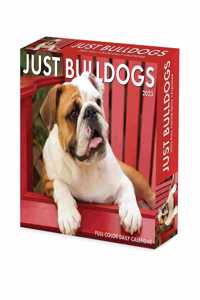 Bulldogs 2023 Box Calendar