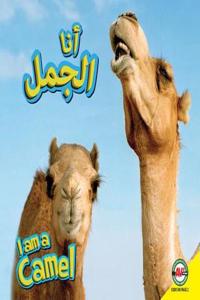 Camel: Arabic-English Bilingual Edition