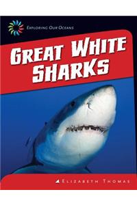 Great White Sharks