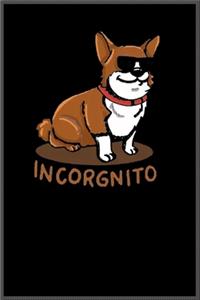 Incorgnito