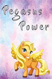 Pegasus power notebook