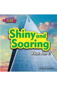 Shiny and Soaring