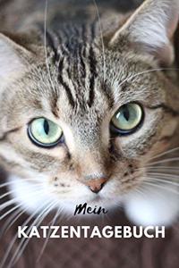 Mein Katzentagebuch