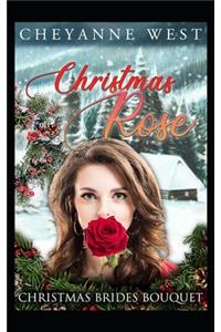 Christmas Rose
