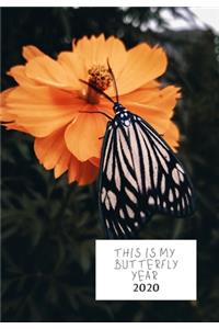 This Is My Butterfly Year