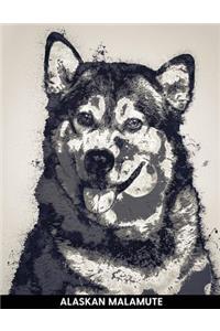 Alaskan Malamute