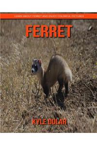 Ferret! Learn about Ferret and Enjoy Colorful Pictures