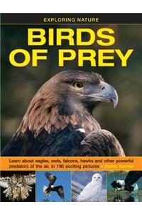 Exploring Nature: Birds of Prey