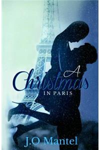 A Christmas in Paris