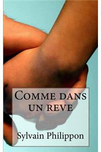 Comme dans un reve