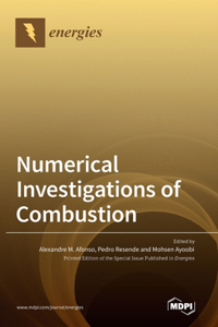 Numerical Investigations of Combustion