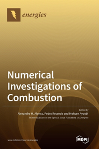 Numerical Investigations of Combustion