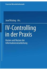 IV-Controlling in Der PRAXIS: Kosten Und Nutzen Der Informationsverarbeitung