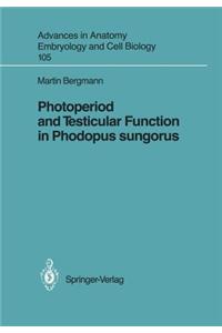 Photoperiod and Testicular Function in Phodopus Sungorus