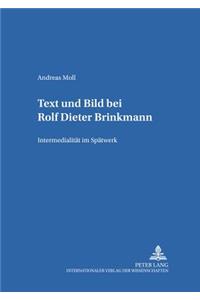 Text Und Bild Bei Rolf Dieter Brinkmann