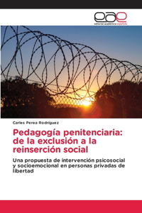 Pedagogía penitenciaria