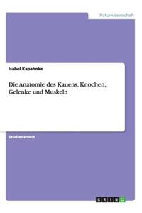 Die Anatomie des Kauens. Knochen, Gelenke und Muskeln