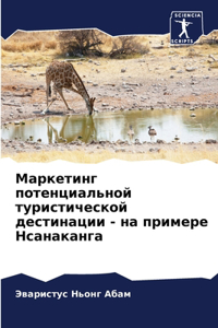 Маркетинг потенциальной туристической д&
